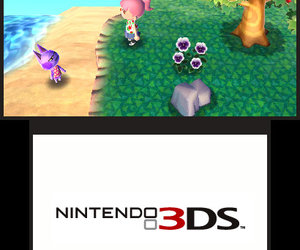 Animal Crossing Chat
