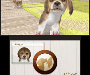nintendogs + cats Screenshots