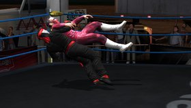 Lucha Libre AAA Heroes del Ring Screenshot from Shacknews