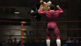Lucha Libre AAA Heroes del Ring Screenshot from Shacknews