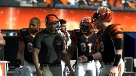 Madden NFL 11 Screenshot from Shacknews