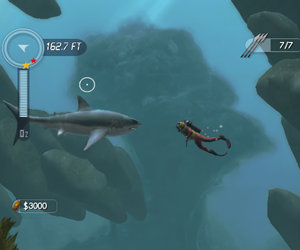 Dive: The Medes Islands Secret Chat