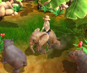 Wildlife Camp Videos