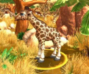 Wildlife Camp Screenshots