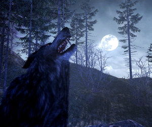 Cabela's Dangerous Hunts 2011 Videos