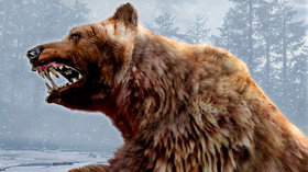 Cabela's Dangerous Hunts 2011 Screenshot from Shacknews