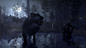 Cabela's Dangerous Hunts 2011 Screenshot from Shacknews