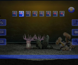 My Aquarium 2 Videos