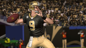 Madden NFL 11 Screenshot from Shacknews