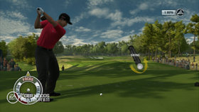 Tiger Woods PGA Tour 11 Screenshot from Shacknews