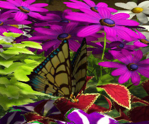 My Garden Screenshots