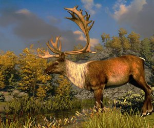 Cabela's North American Adventures Videos