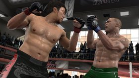 EA Sports MMA Screenshot from Shacknews