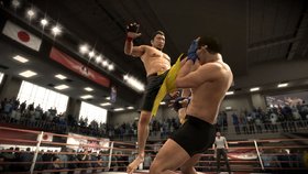 EA Sports MMA Screenshot from Shacknews