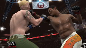 EA Sports MMA Screenshot from Shacknews