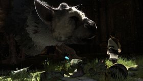 Last Guardian Screenshot from Shacknews