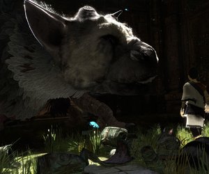The Last Guardian Chat