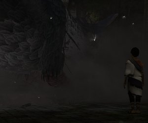 The Last Guardian Files