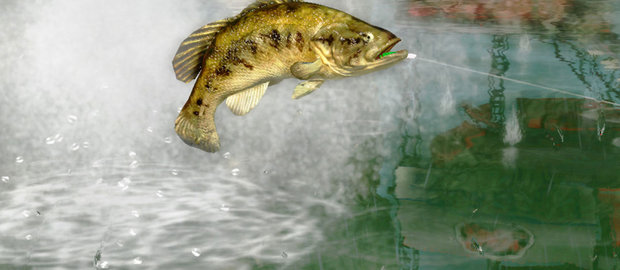 Rapala Pro Bass Fishing News