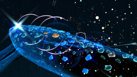 Child of Eden Screenshot from Shacknews