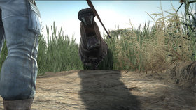 Cabela's Dangerous Hunts 2011 Screenshot from Shacknews