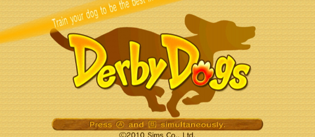 Derby Dogs News