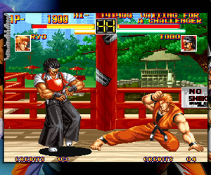 Art of Fighting Files