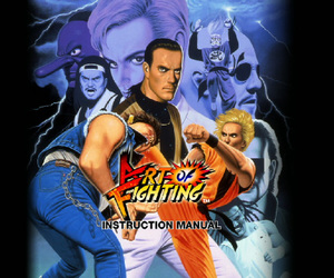 Art of Fighting Chat