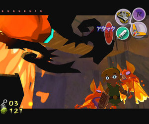 The Legend of Zelda: The Wind Waker Files