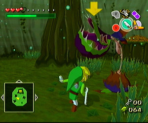 The Legend of Zelda: The Wind Waker Files