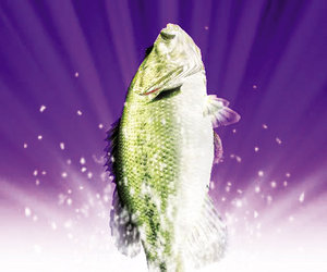 Fishing Master Screenshots