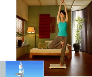 Wii Fit Screenshots