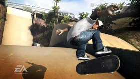 Skate Screenshot from Shacknews