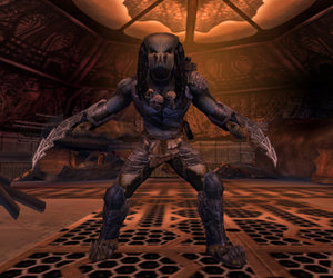 Aliens/Predator Videos