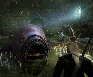 The Witcher Screenshots