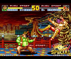 Fatal Fury Special Files