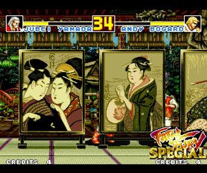 Fatal Fury Special Files