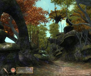 The Elder Scrolls IV: The Shivering Isles Videos