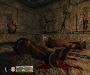 The Elder Scrolls IV: The Shivering Isles Files