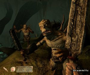 The Elder Scrolls IV: The Shivering Isles Screenshots