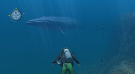 Endless Ocean Screenshot from Shacknews