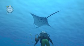 Endless Ocean Screenshot from Shacknews