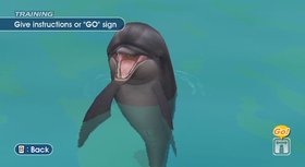 Endless Ocean Screenshot from Shacknews