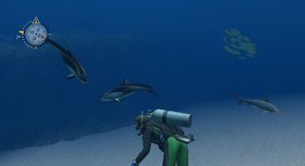 Endless Ocean Screenshot from Shacknews
