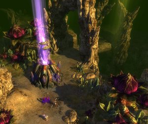 WorldShift Chat