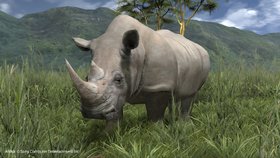 Afrika Screenshot from Shacknews