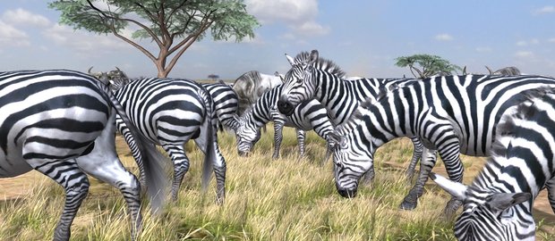 Afrika News