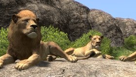 Afrika Screenshot from Shacknews