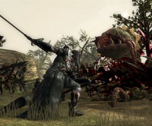 Kingdom Under Fire: Circle of Doom Files