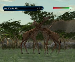 Wild Earth: African Safari Videos